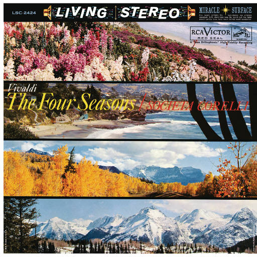 三级片黄片操老婆的逼
